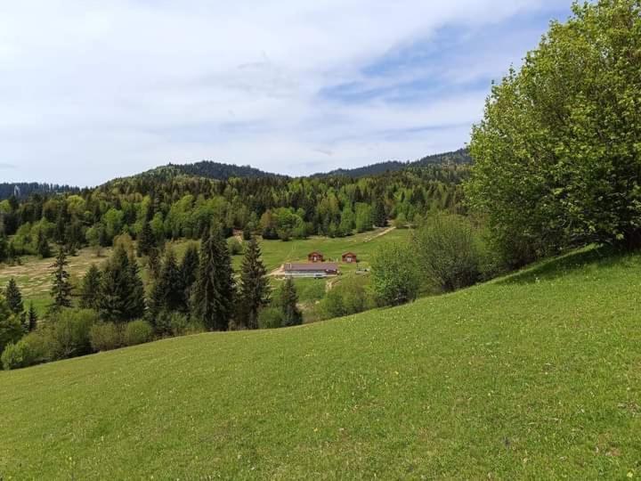 Cabane Areama Neagra Izvoru Mureşului Exterior foto