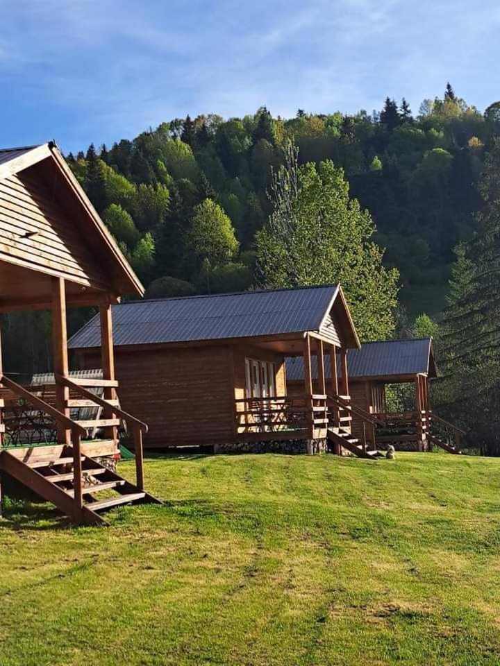 Cabane Areama Neagra Izvoru Mureşului Exterior foto